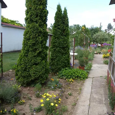 Apartment In Siofok/balaton 19723